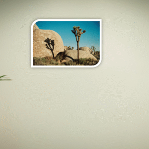 Joshua Tree National Park California-Acrylic UV Prints