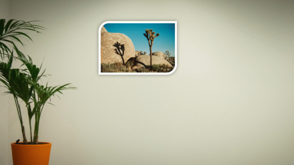 Joshua Tree National Park California-Acrylic UV Prints